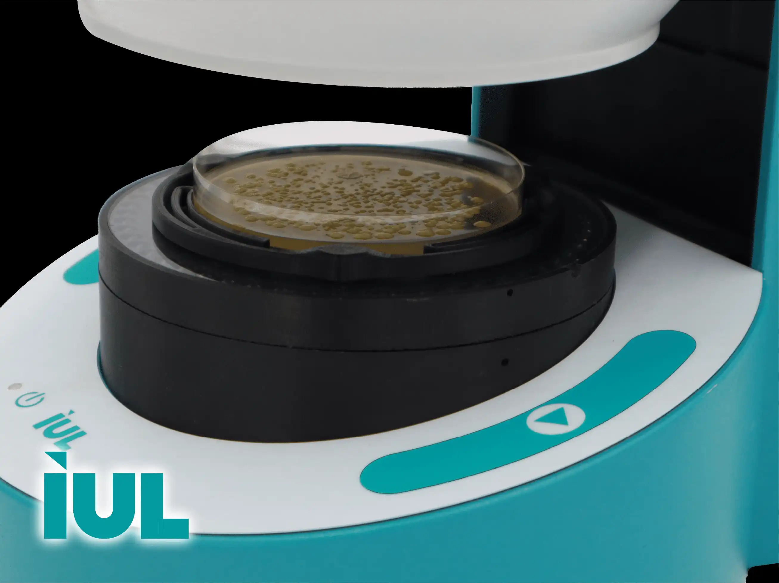 IUL Colony Counting & Zone Reading